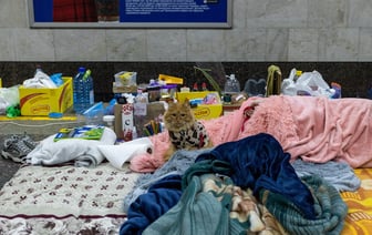 В ЕЭК подсчитали, сколько мяса, молочной продукции и яиц съели в странах ЕАЭС