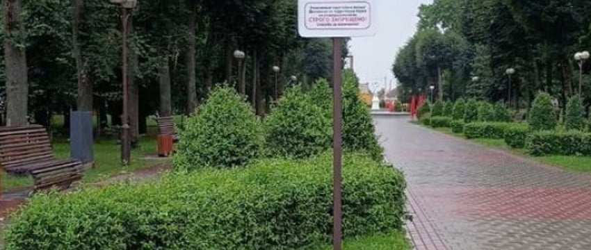 В парке Барановичей появились запрещающие таблички. Узнали, что они означают