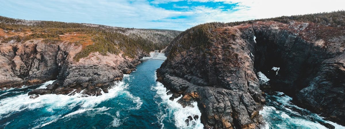 Президент Литвы: Смотрим на Беларусь без иллюзий, это – источник рисков