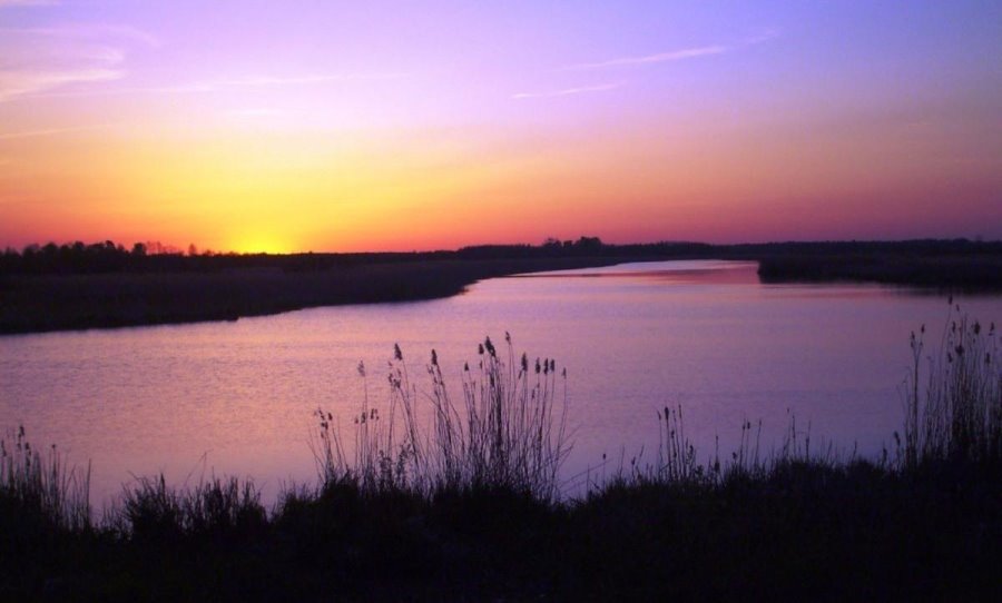 Отдых на природе. Топ-5 живописных мест в Беларуси, где стоит побывать этой весной