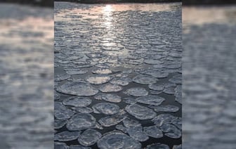 Жители Минщины заметили блинчатый лёд и световые столбы в небе — Фото