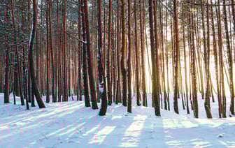 Латвия обязала до 31 октября вывезти из страны машины с белорусскими номерами