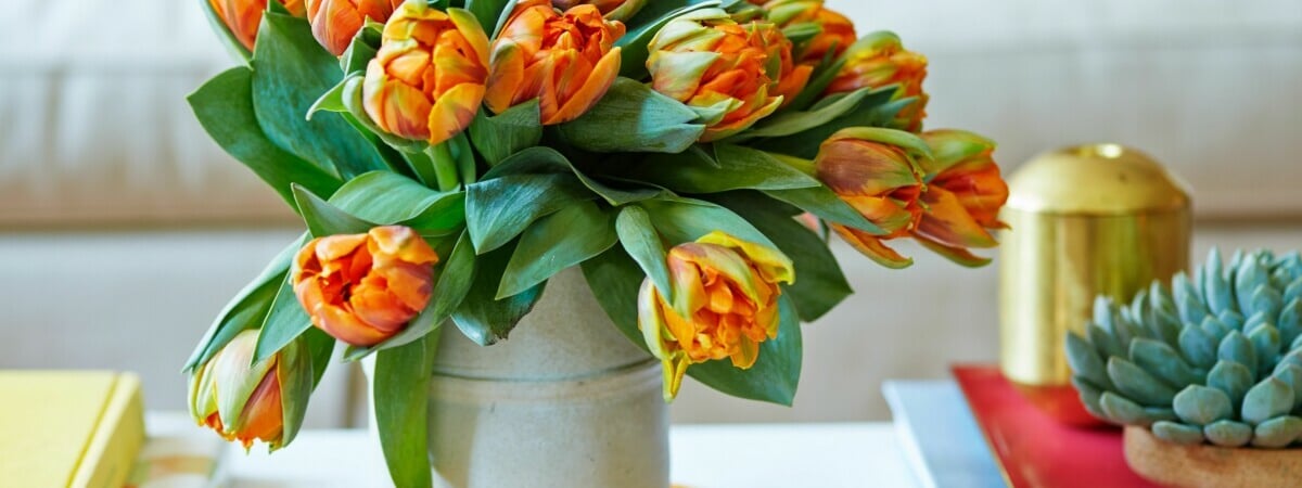 Что сделать, чтобы тюльпаны в вазе простояли дольше? Вот несколько хитростей — Полезно