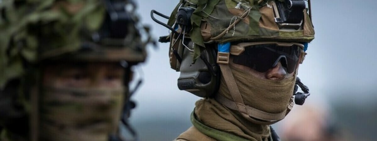 Шойгу «насчитал» на границе с Россией 33 тысячи солдат НАТО