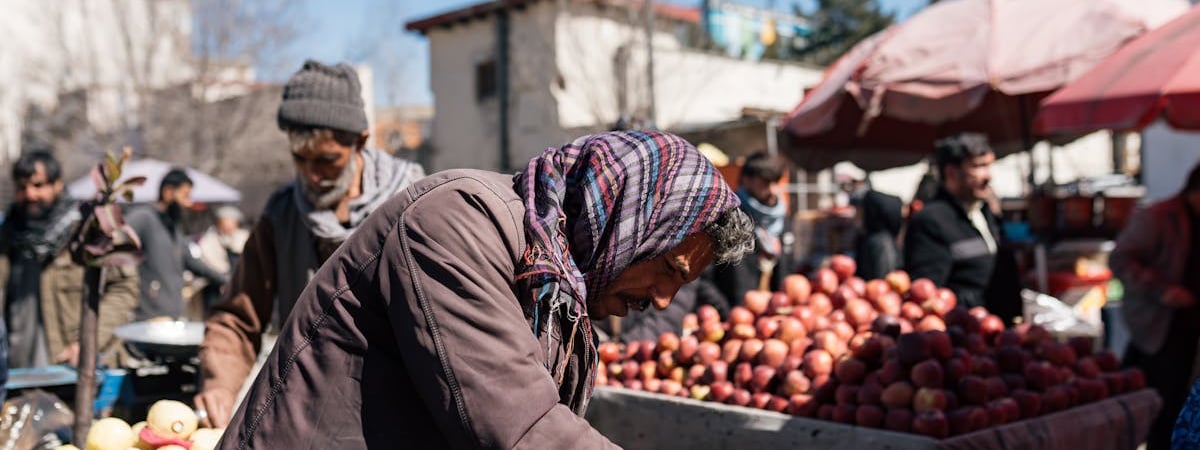 В Беларуси численность КРС за 2024 год снизилась на 2,4%, свиней – на 12%