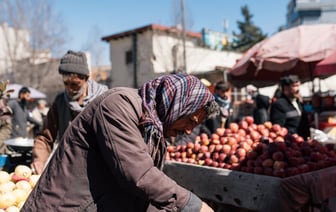 В Беларуси численность КРС за 2024 год снизилась на 2,4%, свиней – на 12%