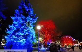 Новогодний Могилев в вечернее время — отдельный вид искусства. Посмотрите, как нарядно выглядит город