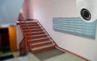 В Гомеле девушка в первый день работы курьером попала под уголовку