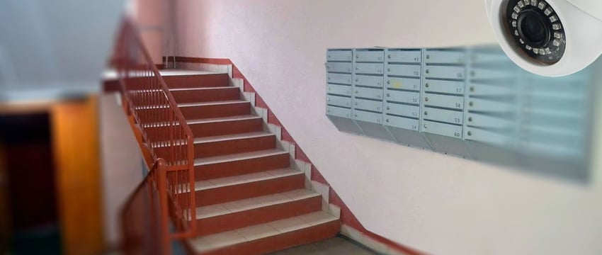 В Гомеле девушка в первый день работы курьером попала под уголовку