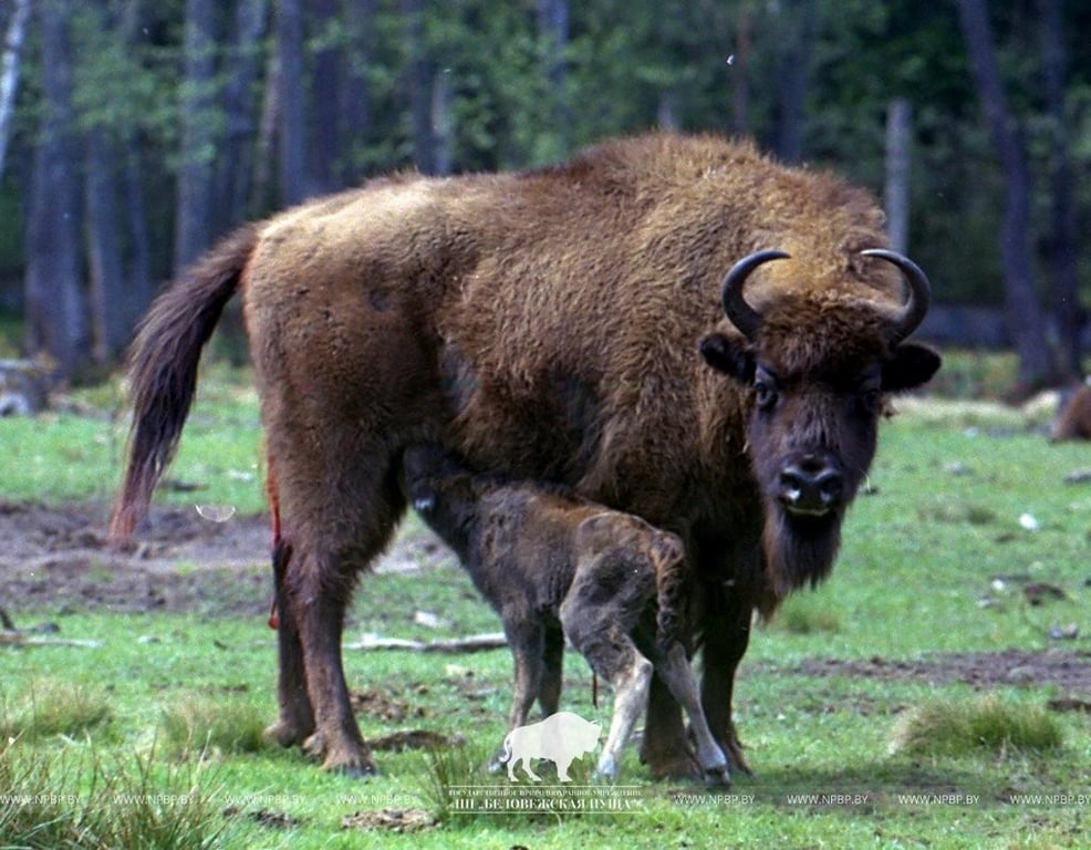 Фото из открытых источников (иллюстративное)