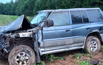 Двое малышей пострадали из-за вылетевшего в поле внедорожника