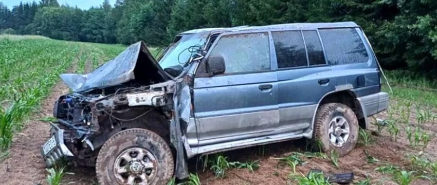 Двое малышей пострадали из-за вылетевшего в поле внедорожника