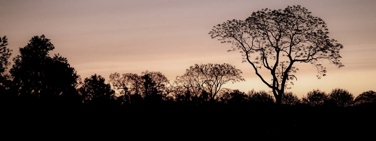 Исламский центр в Гамбурге запретили