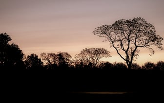 Исламский центр в Гамбурге запретили