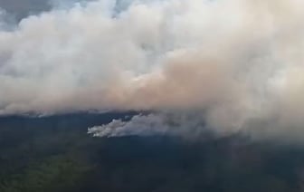 На Полесье тушат крупный лесной пожар − смотрите видео