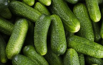 Поставки овощей в Брестскую область