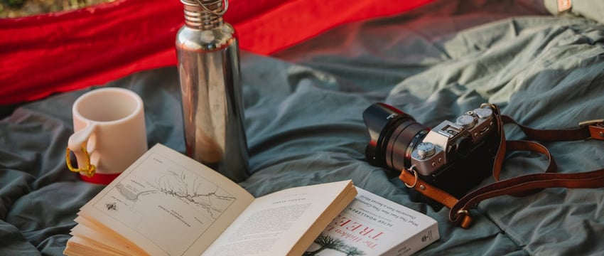 Белорус получил срок из-за забытых в диване патронов: боеприпасы он принес домой из тира 40 лет назад