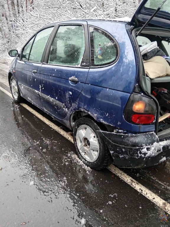 В МЧС рассказали о последствиях непогоды на Брестчине