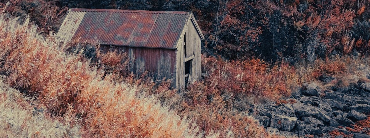 Норвегия выделяет почти $90 млн на расширение производства оружия для Украины