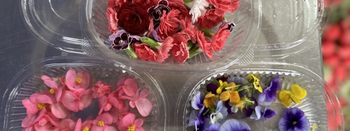 На рынке под Минском начали продавать съедобные цветы. Что по цене? — Фото