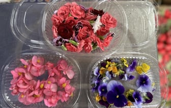 На рынке под Минском начали продавать съедобные цветы. Что по цене? — Фото