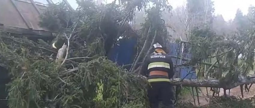МЧС: 14 машин и прицеп-дача повреждены непогодой