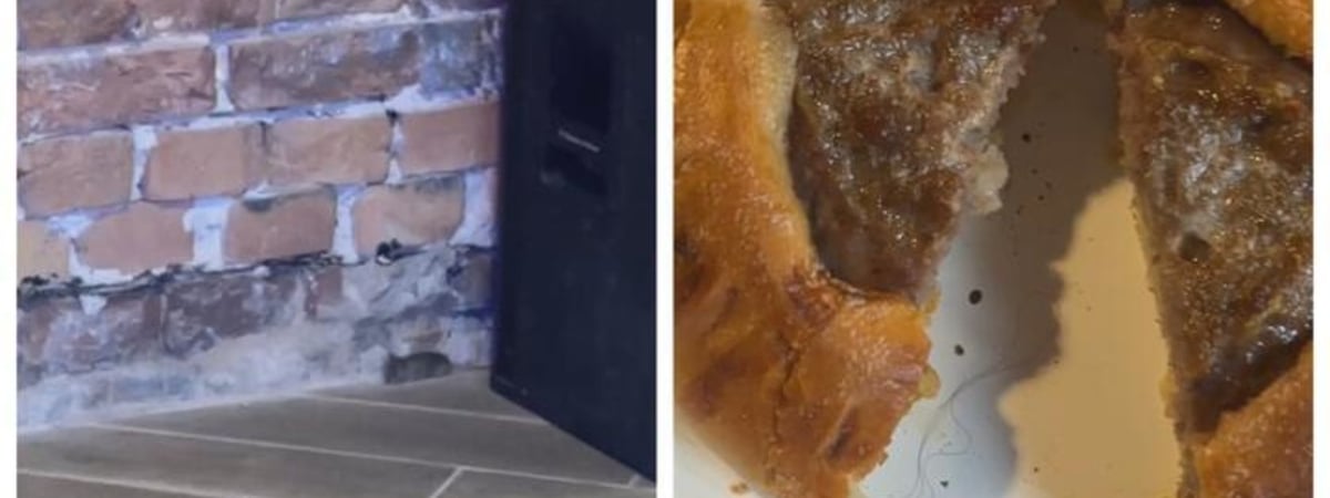 «Появилось много вопросов». Брестчане сходили на гастрофест в кафе «Нет вопросов»