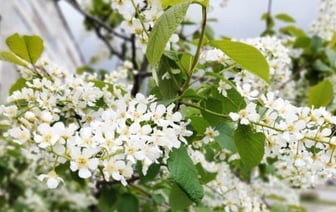 Прогноз погоды от синоптика Рябова для белорусов