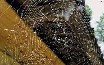 Какая погода ждет нас на неделе с 21 по 27 октября