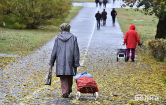 Где в Советском районе Гомеля развернутся сельхозярмарки