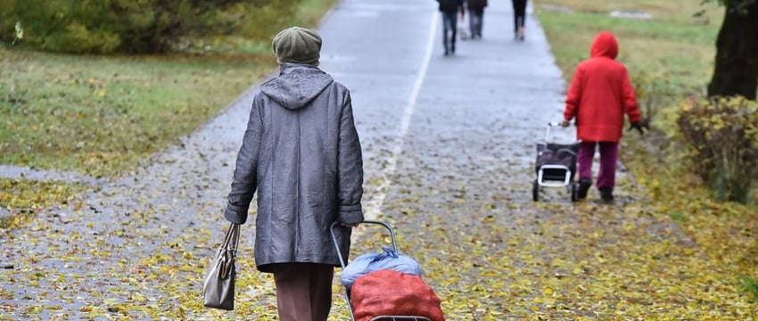 Где в Советском районе Гомеля развернутся сельхозярмарки