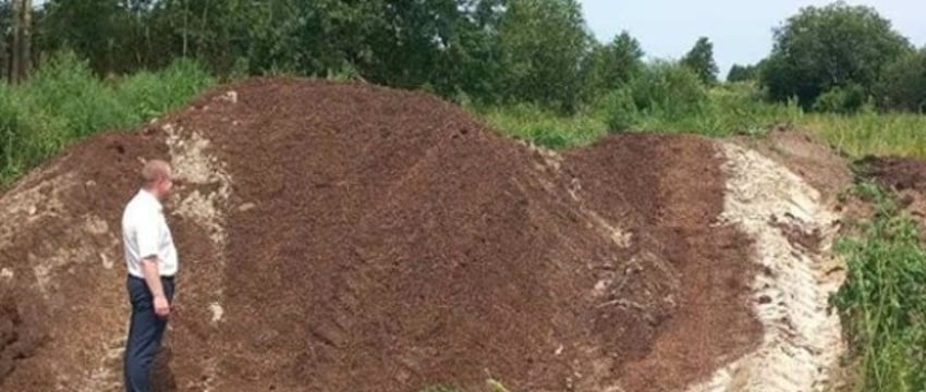 В Лунинецком районе сгнило более 51 тонны зерна — возбуждено уголовное дело