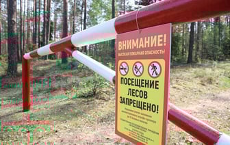 Минлесхоз ввёл первые запреты и ограничения на посещение лесов. Где и за что белорусам грозит штраф до 1260 рублей?