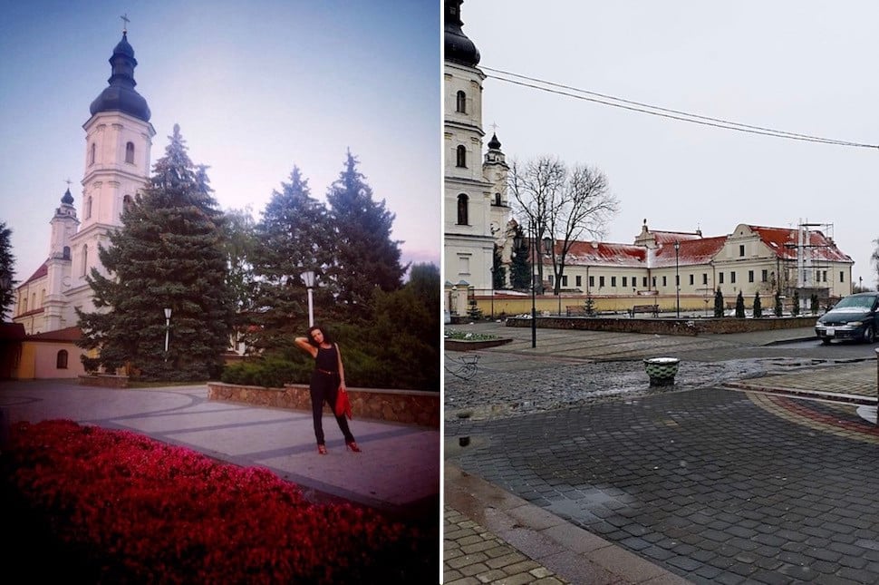 «Бедная сова сидела прямо на бордюре». В центре Пинска вырубили ряд красивейших елей