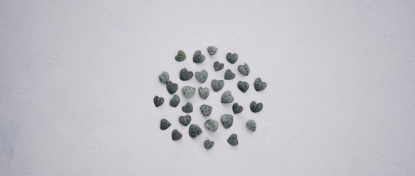 В Новополоцке приглашают на мастер-классы, где научат делать новогодние подарки своими руками