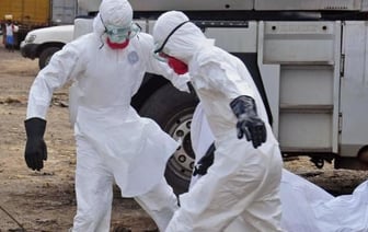 Лихорадка Марбург пока не добралась до Беларуси