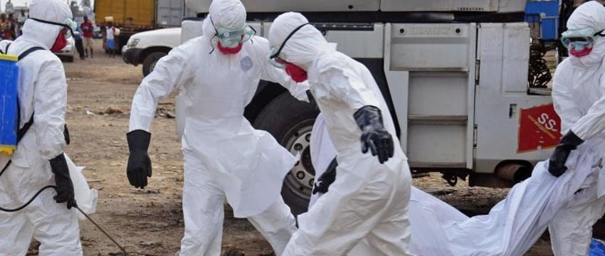 Лихорадка Марбург пока не добралась до Беларуси
