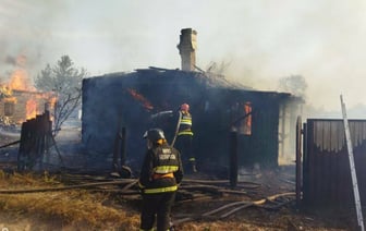 Пять домов сгорело в деревне под Мозырем из-за пала травы — Видео