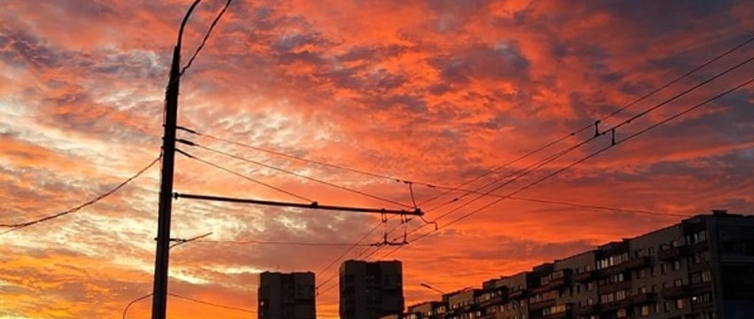 Прогноз погоды на лето 2024 в Беларуси