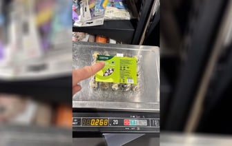 В TikTok показали, как в белорусских магазинах «сэкономить» на перепелиных яйцах. Зрители усомнились, что «это так работает» — Видео