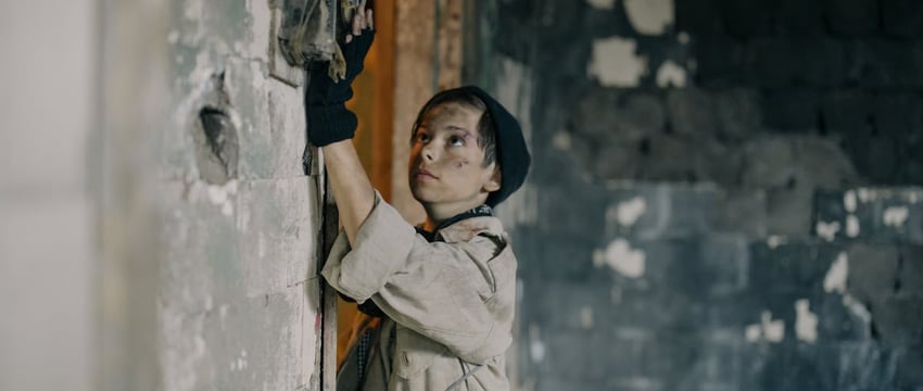 Юрлицам штраф до 500 базовых за разорение птичьих гнезд в Беларуси. А сколько заплатят физлица?