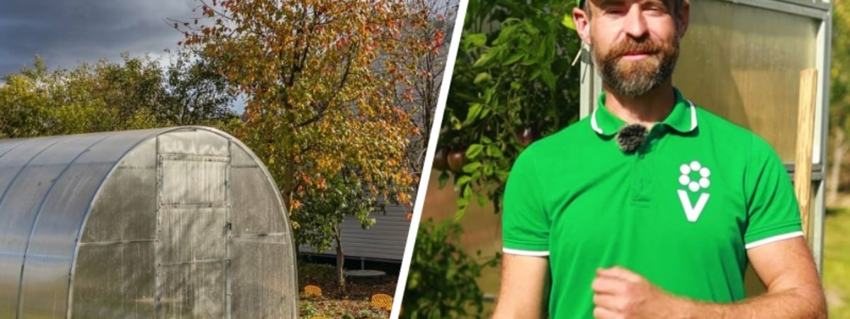 Не перекапывайте землю в теплице. Садовод показал 3 действия, которые не дадут перезимовать фитофторе — Полезно