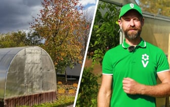 Не перекапывайте землю в теплице. Садовод показал 3 действия, которые не дадут перезимовать фитофторе — Полезно