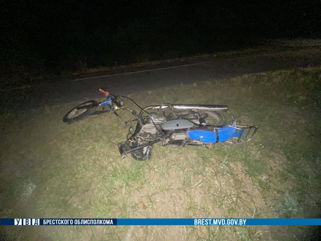 В Дрогичинском районе 17-летний мотоциклист сбил собаку