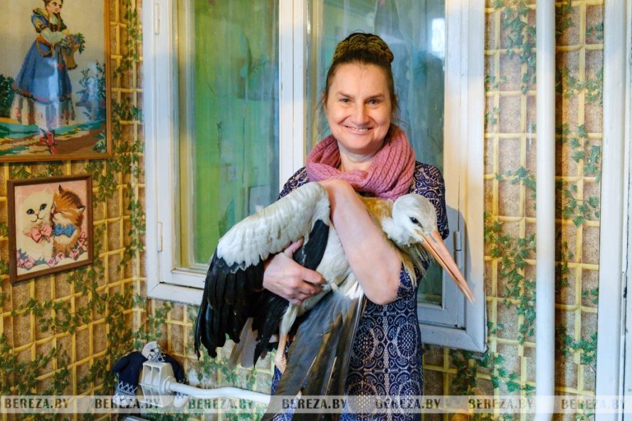 Люди большого сердца: как проходят будни социального работника из Брестской области