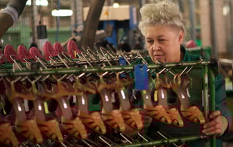 Ярмарка вакансий для «Белвеста» в Витебске