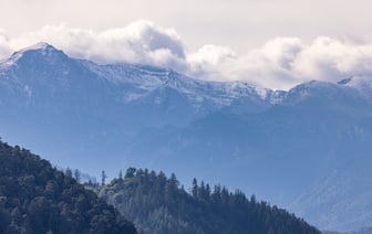 Украина, Румыния и Болгария будут взаимодействовать по экологическому бедствию в Черном море