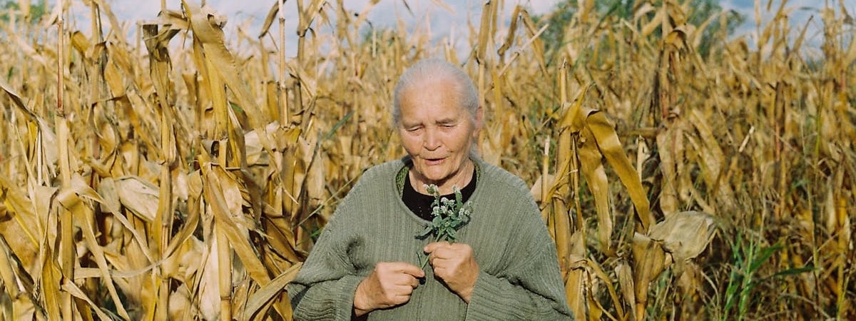 Президент Сербии допускает внеочередные выборы после отставки премьера на фоне протестов