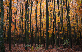 Германия открыла военно-морскую штаб-квартиру на Балтийском море