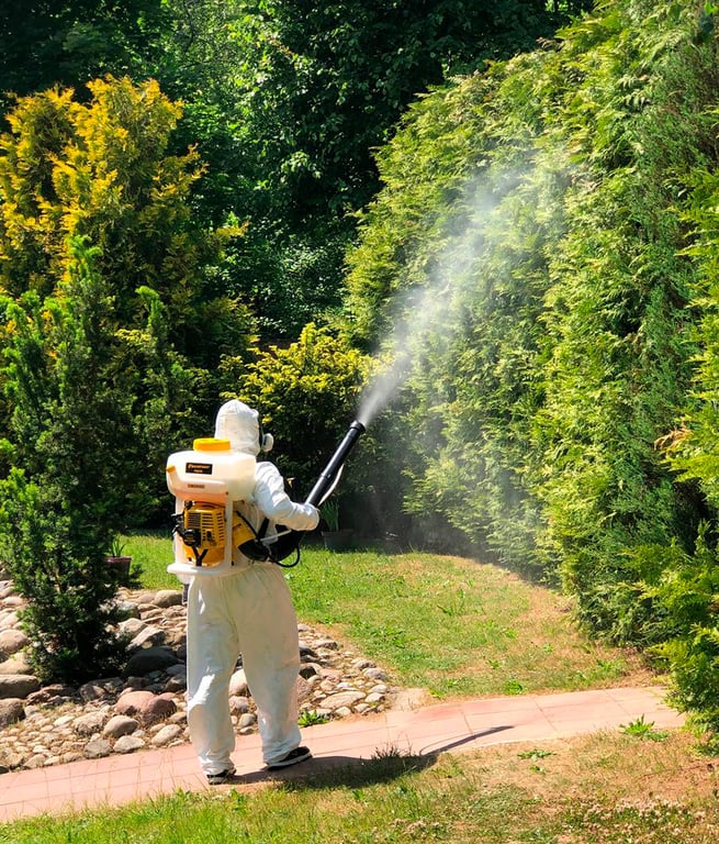 Охотники за тараканами: белорус рассказал, как ведет бизнес по дезинсекции